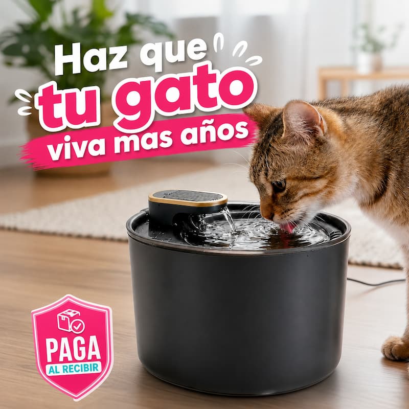 Dispensador de Agua Automático: estimula su hidratación para que no se deteriore su salud💧